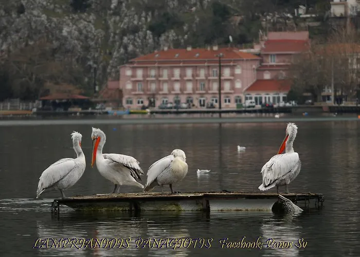 In Hotel Kastoria